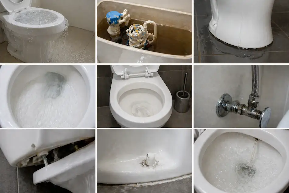 Common Toilet Problems We Repair Pretoria